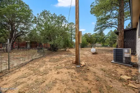 3520 Buckskin Rd, Overgaard, AZ 85933 photo 24