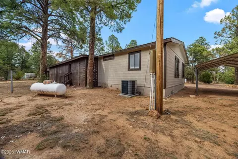 3520 Buckskin Rd, Overgaard, AZ 85933 photo 28