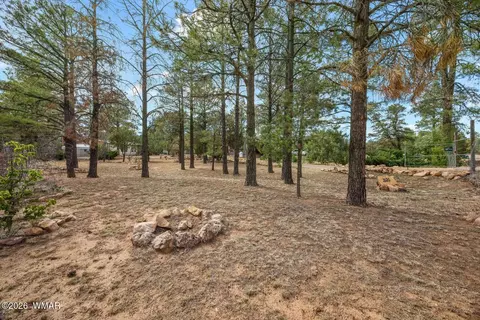 3520 Buckskin Rd, Overgaard, AZ 85933 photo 32