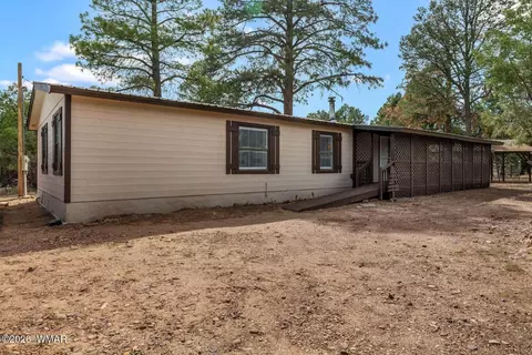 3520 Buckskin Rd, Overgaard, AZ 85933 photo 4