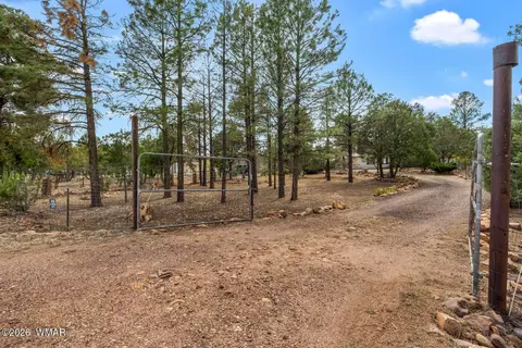 3520 Buckskin Rd, Overgaard, AZ 85933 photo 33