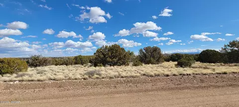 56 County Rd, Concho, AZ 85924 photo 6
