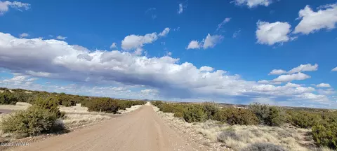 56 County Rd, Concho, AZ 85924 photo 4