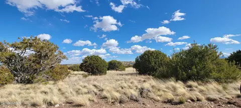 56 County Rd, Concho, AZ 85924 photo 5