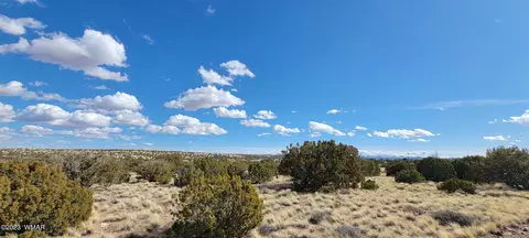 56 County Rd, Concho, AZ 85924 photo 3