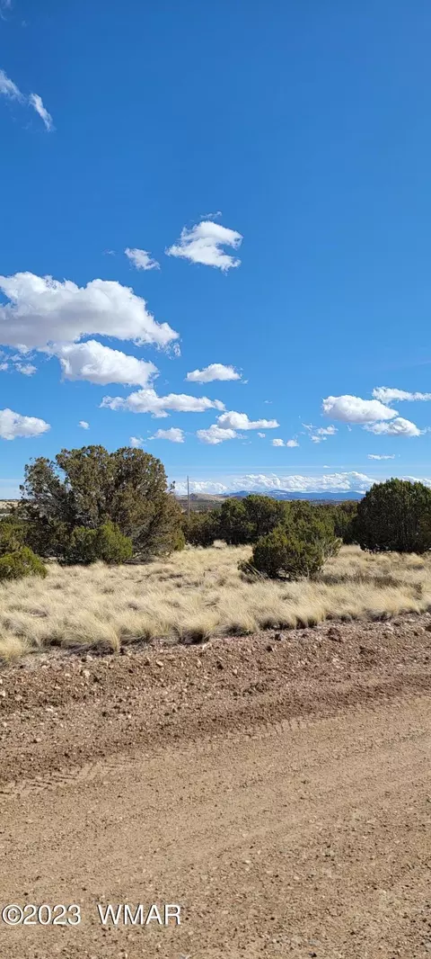 56 County Rd, Concho, AZ 85924 photo 7