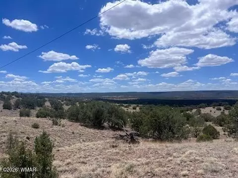 41 Indian Dr, Concho, AZ 85924