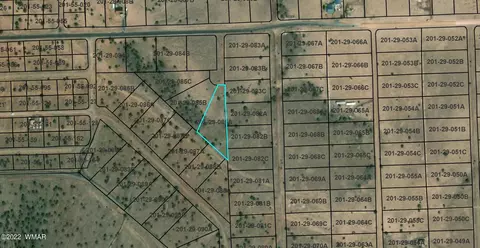tbd Cr 5101, Concho, AZ 85924