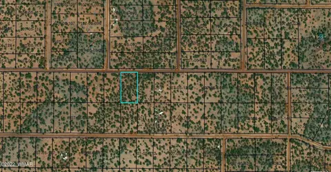 170 Co Rd, Vernon, AZ 85940