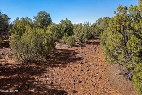 233 Co, Concho, AZ 85924 photo 15