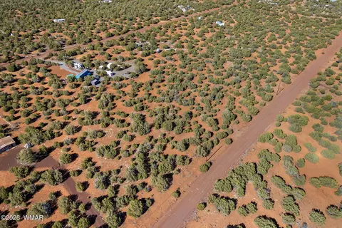 233 Co, Concho, AZ 85924 photo 9