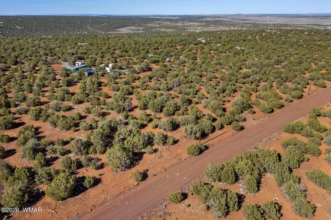 233 Co, Concho, AZ 85924 photo 13