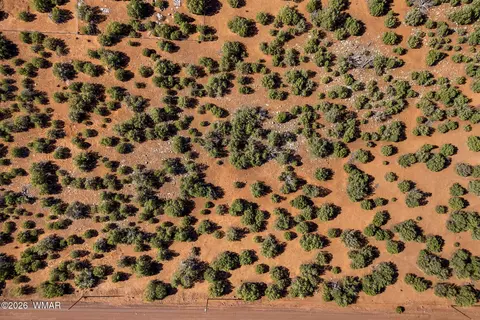 233 Co, Concho, AZ 85924 photo 2