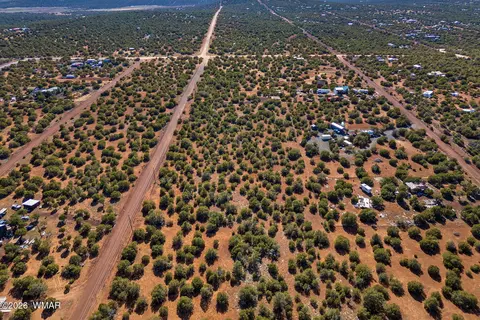 233 Co, Concho, AZ 85924 photo 5
