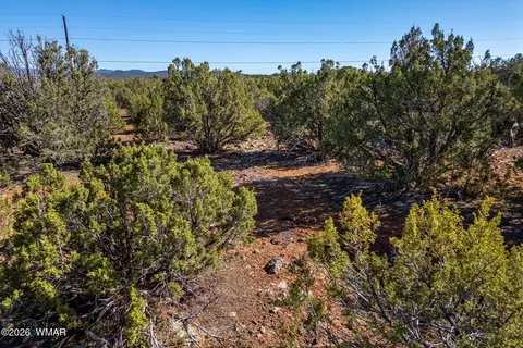 233 Co, Concho, AZ 85924 photo 18