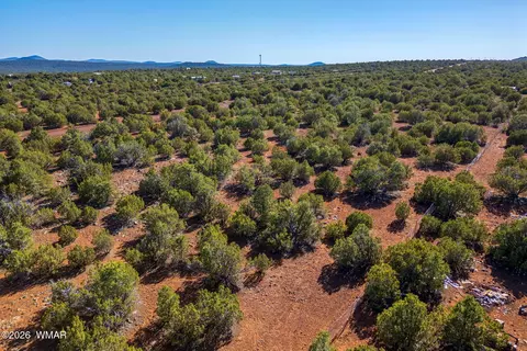 233 Co, Concho, AZ 85924 photo 16