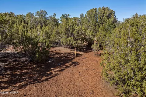233 Co, Concho, AZ 85924 photo 14