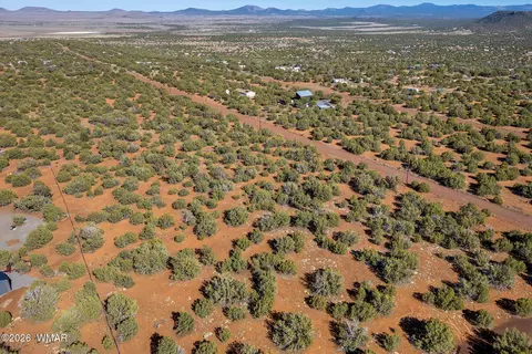 233 Co, Concho, AZ 85924 photo 12