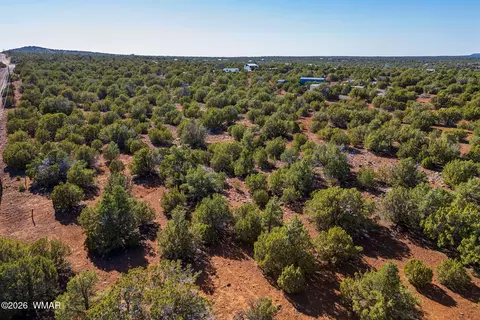 233 Co, Concho, AZ 85924 photo 17