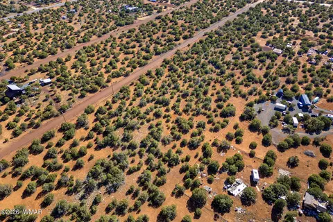 233 Co, Concho, AZ 85924 photo 4