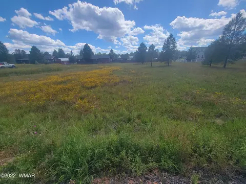 2277 Meadow Ln, Overgaard, AZ 85933 photo 2
