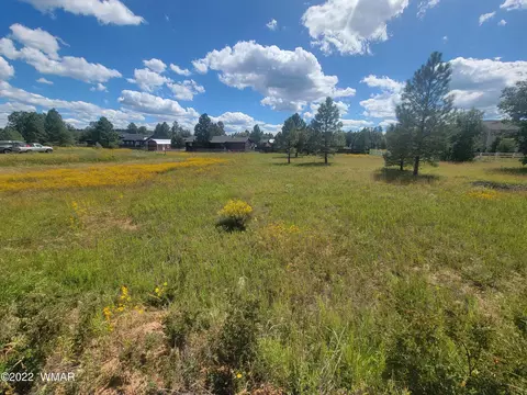 2277 Meadow Ln, Overgaard, AZ 85933 photo 4