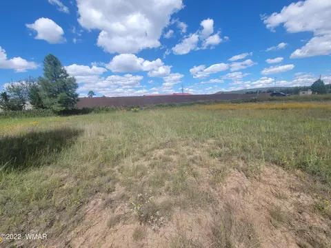 2277 Meadow Ln, Overgaard, AZ 85933 photo 3