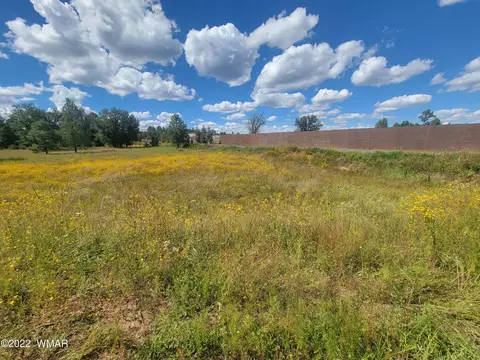 2277 Meadow Ln, Overgaard, AZ 85933 photo 5