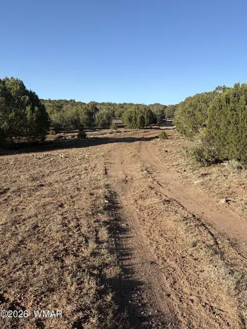 tbd N5547, Concho, AZ 85924