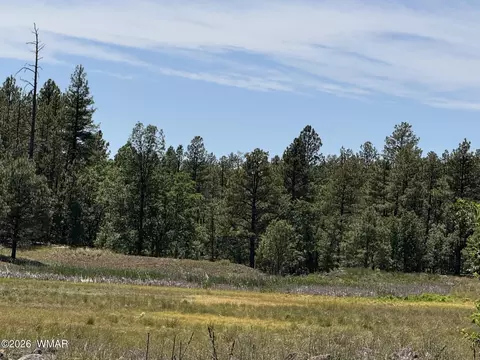 000 Sweetwater Rnch, Pinetop, AZ 85935