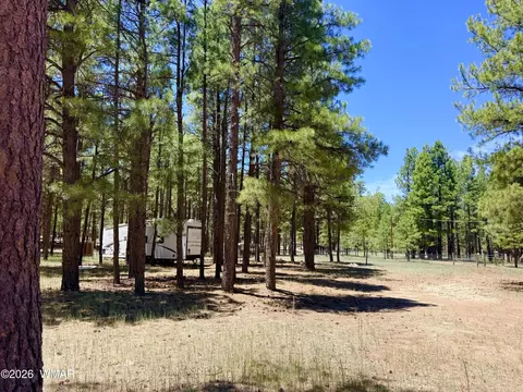 2378 Blue Ridge Dr, Happy Jack, AZ 86024