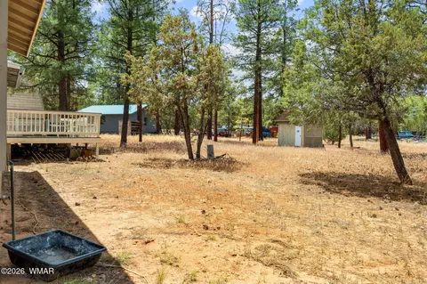 Exterior - 3316 Ox Bow Bnd, Overgaard, AZ 85933 photo 7 of 11