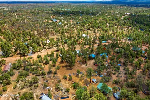 View/Area - 3316 Ox Bow Bnd, Overgaard, AZ 85933 photo 2 of 5