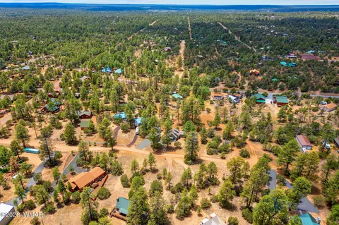 View/Area - 3316 Ox Bow Bnd, Overgaard, AZ 85933 photo 4 of 5