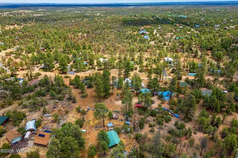 View/Area - 3316 Ox Bow Bnd, Overgaard, AZ 85933 photo 3 of 5