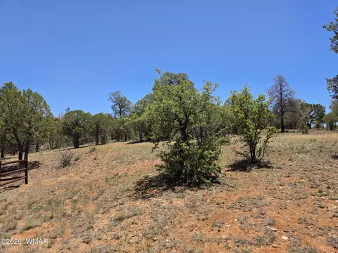 2292 Aero Mech Dr, Overgaard, AZ 85933 photo 9