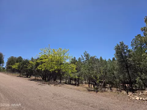 2292 Aero Mech Dr, Overgaard, AZ 85933 photo 3