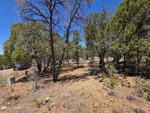 2292 Aero Mech Dr, Overgaard, AZ 85933 photo 11