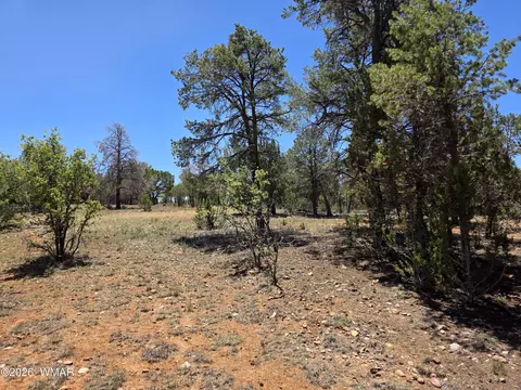 2292 Aero Mech Dr, Overgaard, AZ 85933 photo 8