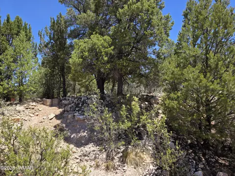 2292 Aero Mech Dr, Overgaard, AZ 85933 photo 4