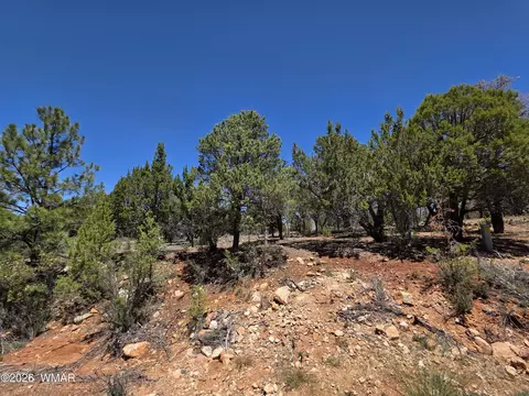2292 Aero Mech Dr, Overgaard, AZ 85933 photo 12
