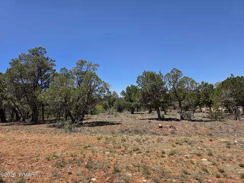 2292 Aero Mech Dr, Overgaard, AZ 85933