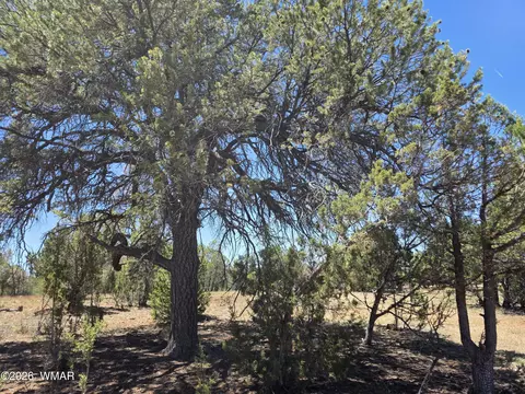 2292 Aero Mech Dr, Overgaard, AZ 85933 photo 5
