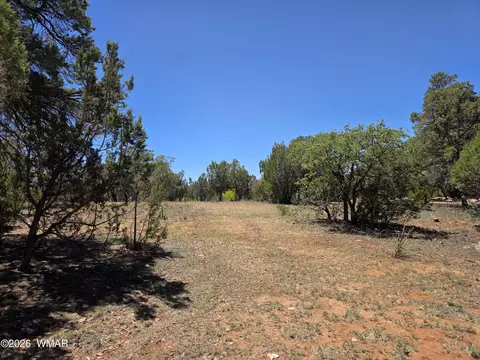 2292 Aero Mech Dr, Overgaard, AZ 85933 photo 6