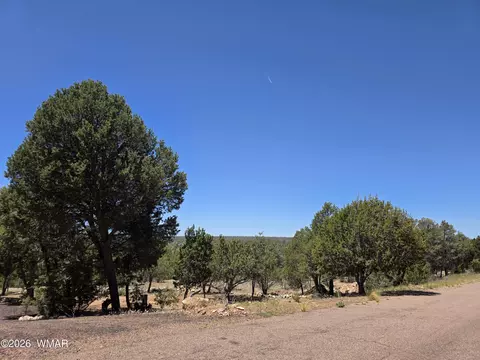 2292 Aero Mech Dr, Overgaard, AZ 85933 photo 2