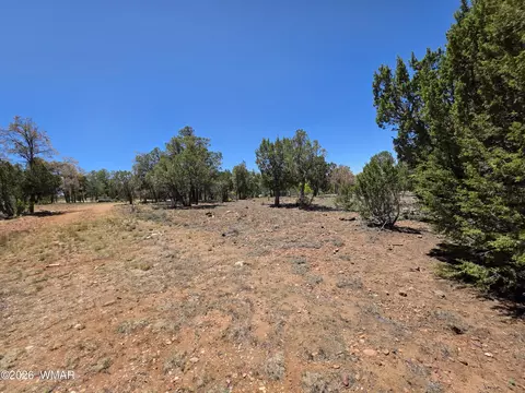 2292 Aero Mech Dr, Overgaard, AZ 85933 photo 10