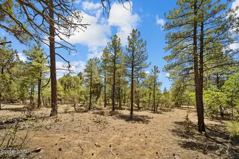 731 S Barberry Ln, Show Low, AZ 85901