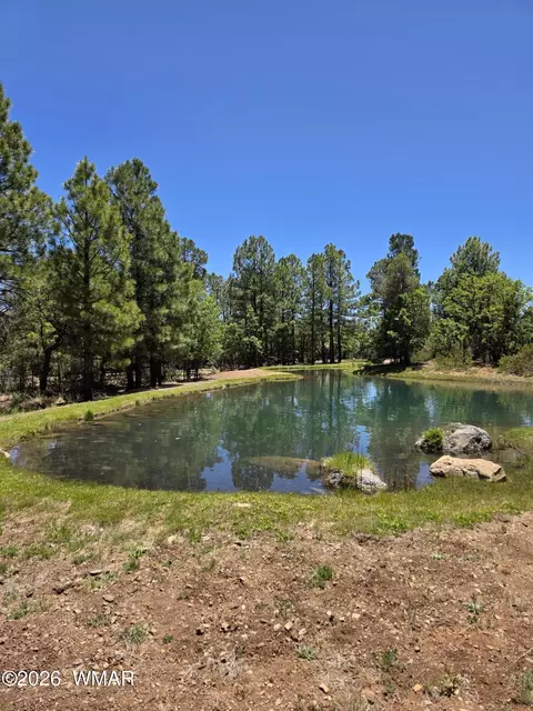 731 S Barberry Ln, Show Low, AZ 85901