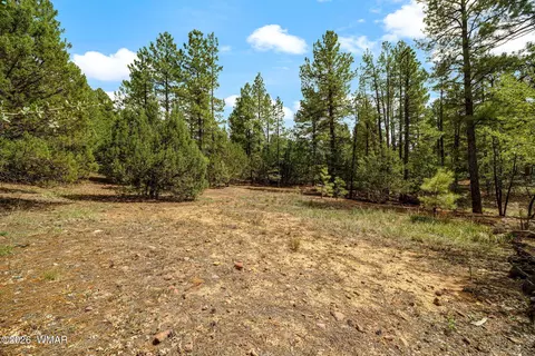 1060 S Hacienda Pines Dr, Show Low, AZ 85901
