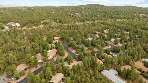 1940 Pineview Dr, Show Low, AZ 85901 photo 57